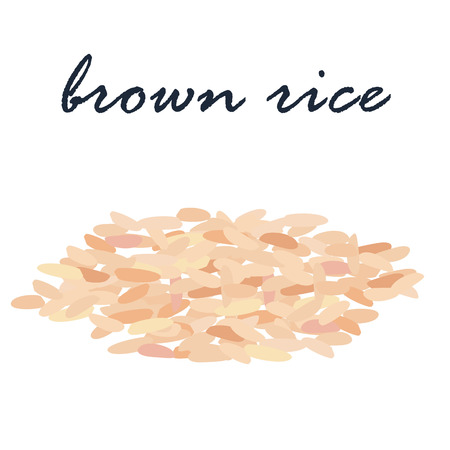 brown rice organic grain vector illustrationのイラスト素材