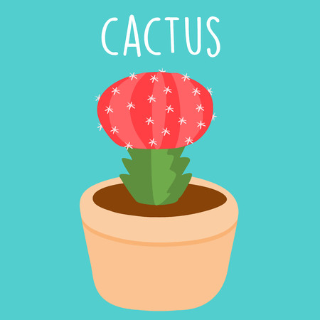 cute red cactus in a pot vector illustrationのイラスト素材