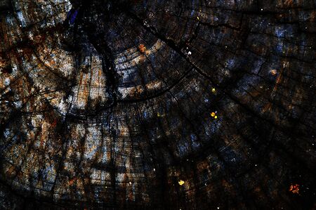 wood, stone background and texture geometric patternの写真素材