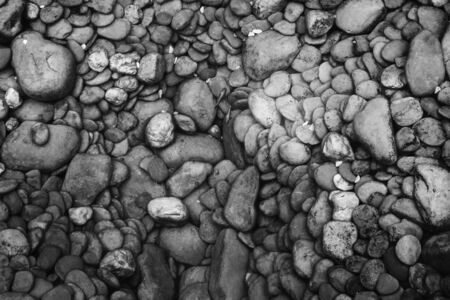 Stones under water. Black and white background with two small fishes.の写真素材