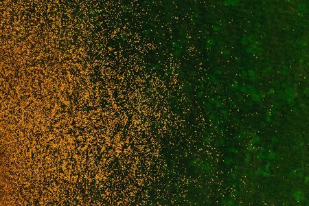 Fallen yellow autumn leaves and green grassの写真素材