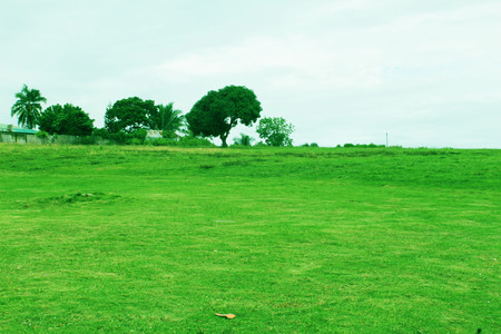 green groundの写真素材