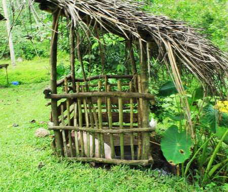 native pigpen in the mountainの写真素材