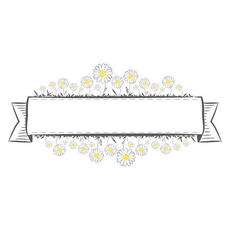 Daisies banner on white backgroundのイラスト素材