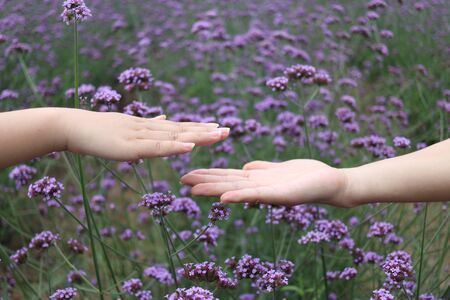 Friendshipの写真素材