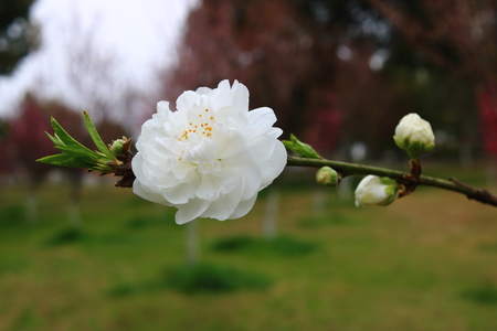 Thrivingの写真素材