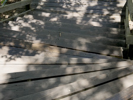 Spiraling old wooden stairs in an old building