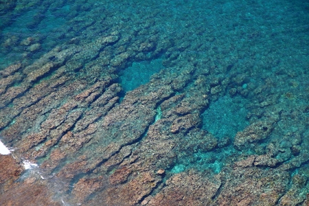 Clear view of underwater corals and pools in the waterの写真素材