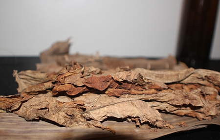 pile of dried tobacco leaves spread out on a tableの写真素材