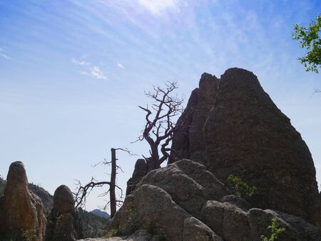 Dramatic rock formations with leafless trees along Needles Highway in South Dakota.
