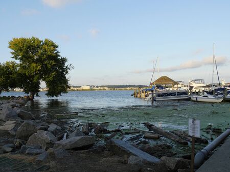 Alexandria, Virginia- September 2017: View of the City marina and City Pier in Alexandria, with boats and yachts moored.のeditorial素材
