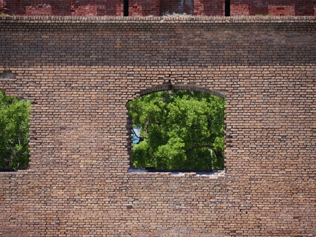One of the windows of Fort Jefferson, Dry Tortugas National Park, with trees behind.のeditorial素材