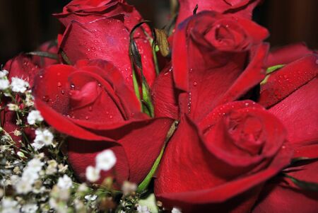 Close cropped shot of a bridal bouquet of red roses and baby's breath flowersの写真素材