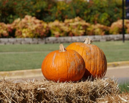 Two orange pumpkins on top of hay bales at a farmer's market