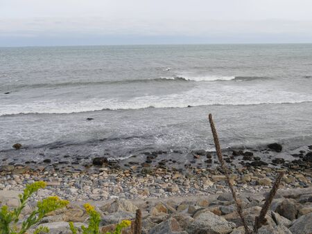 Rocky beachline with yellow flowers along the road