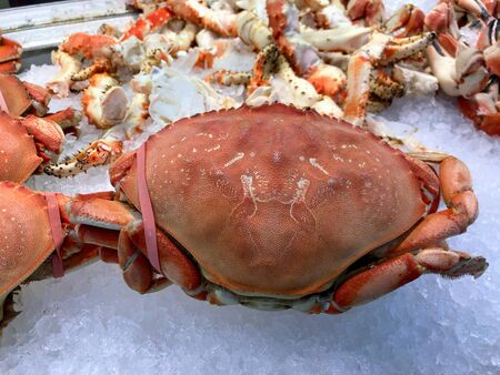 Close up of giant crabs for sale at a seafood marketの写真素材