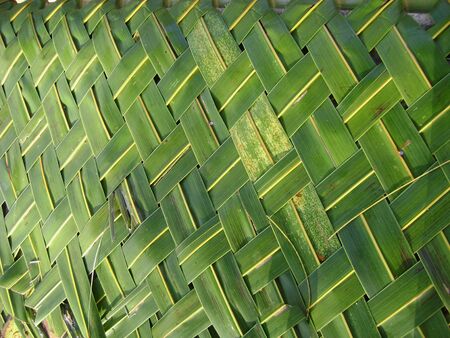 Close front shot of fresh coconut leaves woven into a mat
