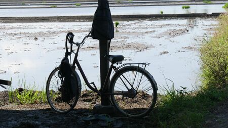 Bicycle parked by a post in a ricefield in the Philippinesの写真素材