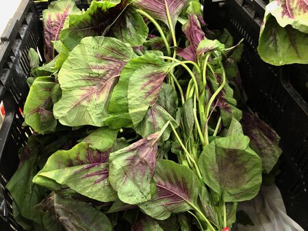 Fresh green leafy vegetables at the fresh produce section of a market.