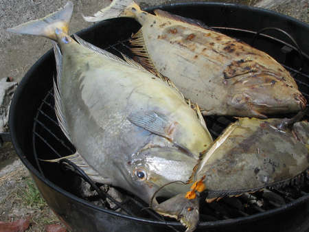 Fish grilling in an outdoor grill over hot charcoal, cooked traditional style