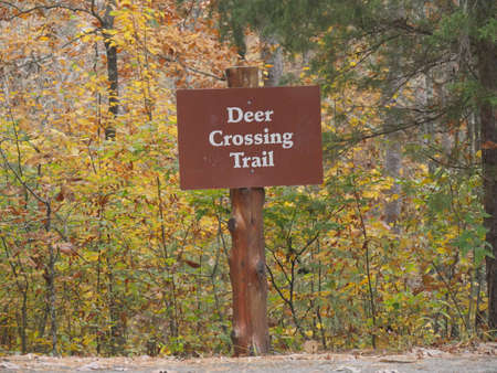 Signboard by the roadside in a state park for deer crossing trail
Talimena scenic drive, Oklahomaの写真素材