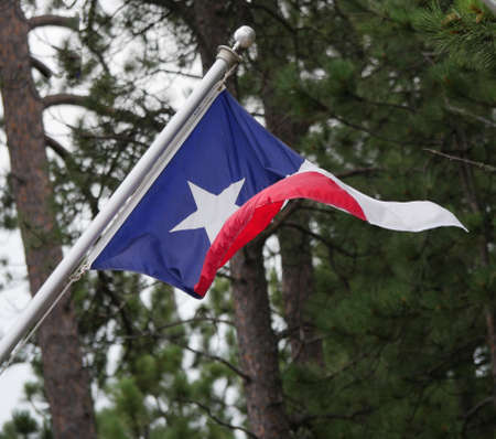 State flag of Texas flying from a pole, with pine tress behindの写真素材