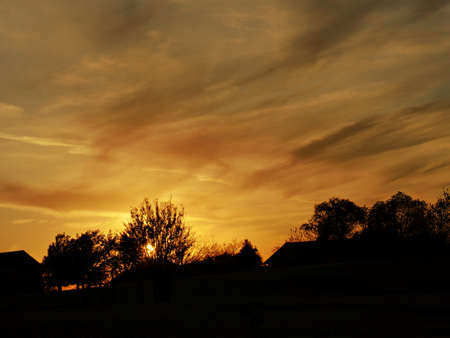 Beautiful sunset skies with the sihouettes of trees in the foregroundの写真素材
