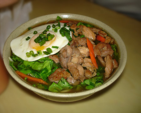 Slices of beef, vegetables and egg in a bowlの写真素材