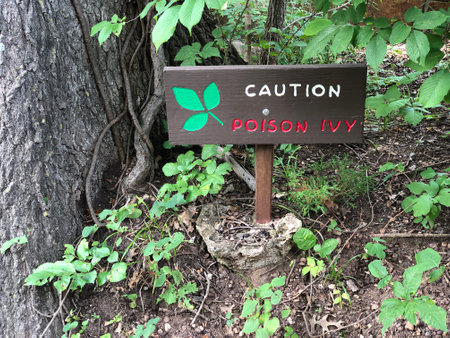 Landscape hot of a warning sign for poison ivy by a roadside.の写真素材