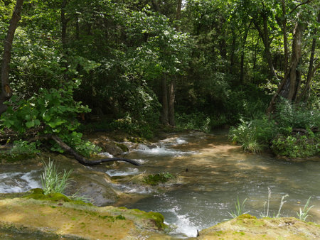 Fresh water flows down the creek from Buffalo Springs, Chickasaw National Recreation Area.の写真素材