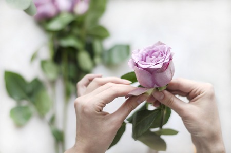 Florist at work. Girl preparing flowers for bouquet. Lilac rose in hands. Overhead viewの写真素材