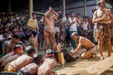 Hindu festival Durga Pujaâs another big part about Kali Puja, Traditionally, a goat or Buffalo used to be sacrificed at Kali Puja and this ritual was called patha boli. A goat on the occasion of Navami Netrokona, Bangladesh.のeditorial素材