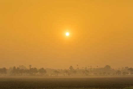 A winter morning misty field and golden light low visibility silhouette due to heavy fog on Jessore, Bangladesh.の写真素材