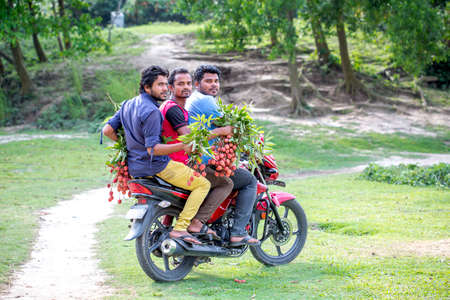 Bangladesh â May 27, 2015: Three man on motorbike is carrying some brunchs lychees at ranisongkoil, Thakurgon.のeditorial素材