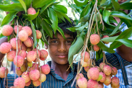 Bangladesh â May 27, 2015: A boy holding some bunch of lychees at ranisongkoil, Thakurgon.のeditorial素材