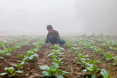 Bangladesh - November 25, 2014: An young boy in winter morning while working in her family...