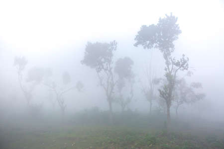 Bangladesh â January 06, 2014: On a foggy winter morning, two young boy and girl are going to school by riding bicycle. at Ranisankail, Thakurgaon.のeditorial素材