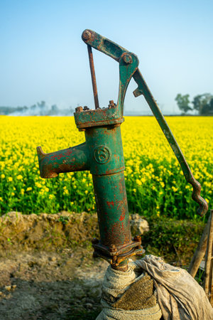 Hand water tube well used to supply water to agricultural lands. Yellow mustard flower beautiful scenery with manual water tube well.の写真素材