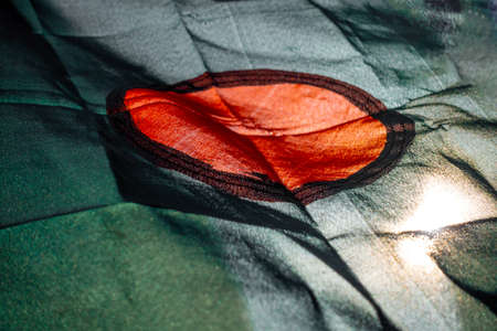 The national flag of Bangladesh is flying in the sky. The flag of Bangladesh is made of a center red circle in green. Close Up View of the national flag of Bangladesh made of Silk fabric.の写真素材
