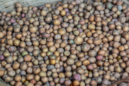 Fresh small red potatoes vegetable on the basket. Red potatoes close-up background.の写真素材