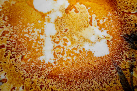 Abstract yellow-orange burning cream texture in white background. Milk burning pots orange-yellow texture. Abstract rustic texture.の写真素材