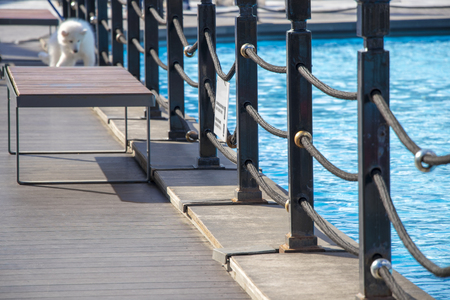 white dog, wood floor, rope, blue water poolの写真素材