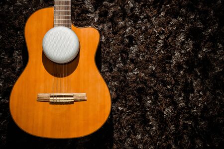speaker on the purple classic guitar with brown background