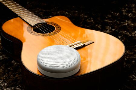 speaker on the purple classic guitar with the brown background