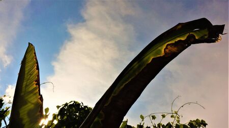 moment of the world while white and blue cloudy skyの写真素材