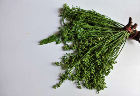 A group of herb bunch with a pungent scent and a bitter taste called Sa Doa a on white background