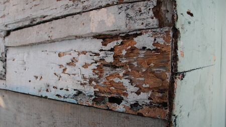 abandoned, abstract, aged, antique, backdrop, background, blank, board, brown, color, color decay, cracked, crooked, damaged, decay, decorative, design, floor, grain, gray, grunge, grungy, hardwood, interior, lumber, material, natural, nature, old, panel, pattern, plank, rotten, rough, rustic, structure, surface, table, texture, textured, timber, urban, urban decay, vintage, wall, wallpaper, weathered, white, wood, woodenの写真素材
