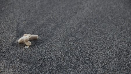 the rocks on the beach sand are gray in the morning, with less light, out of focus, suitable for the backgroundの写真素材