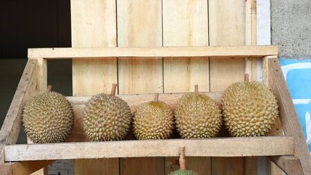 King of Fruits, Durian is a popular tropical fruit in Asiaの写真素材