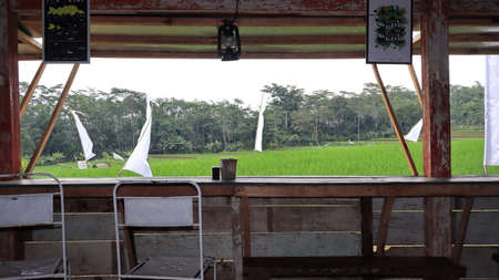 The view of the fresh green rice fields from inside the restaurant or house is relaxingの写真素材